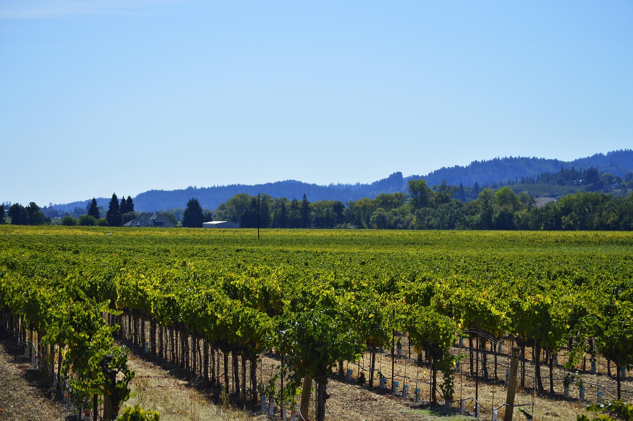 Healdsburg