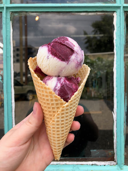 Sunshine Sammies - Ice cream shop in Asheville