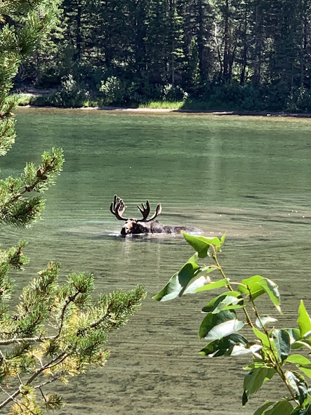 Moterra Campervans - Jackson Hole