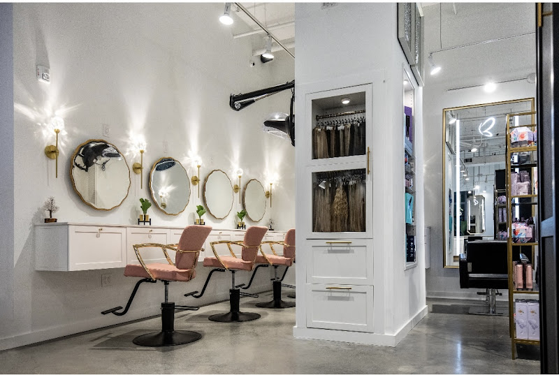 The House of Blondes