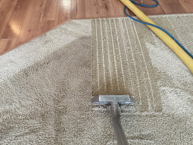 Allklean Carpet Cleaning and Restoration photo