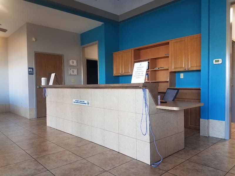 Animal Eye Clinic Of Pensacola - Veterinary care in Fort Walton Beach