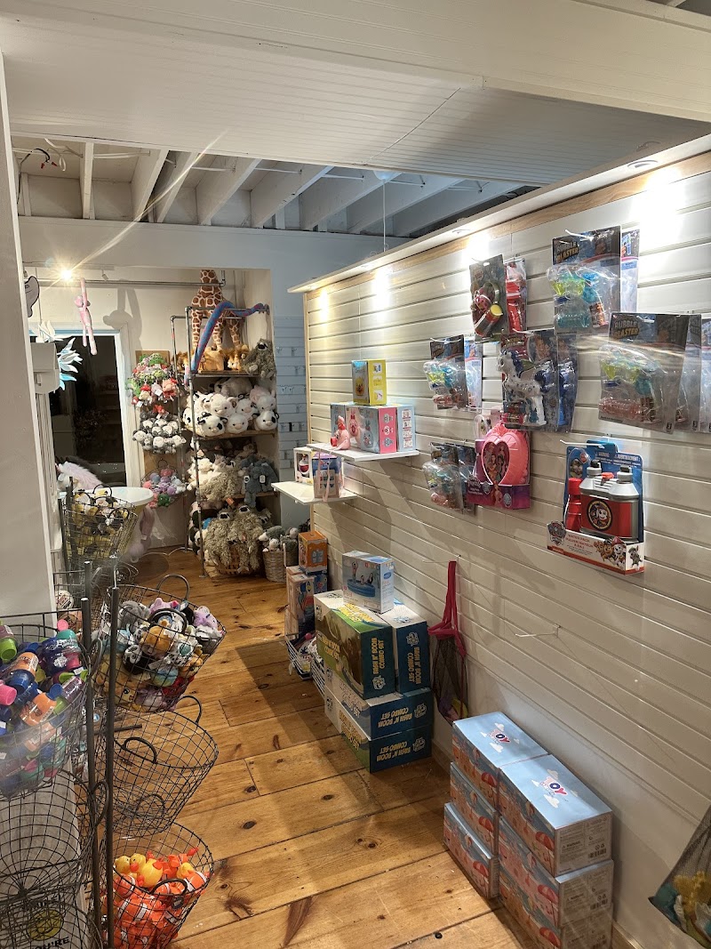 Duck Toy & Ice Cream - Ice cream shop in Duck