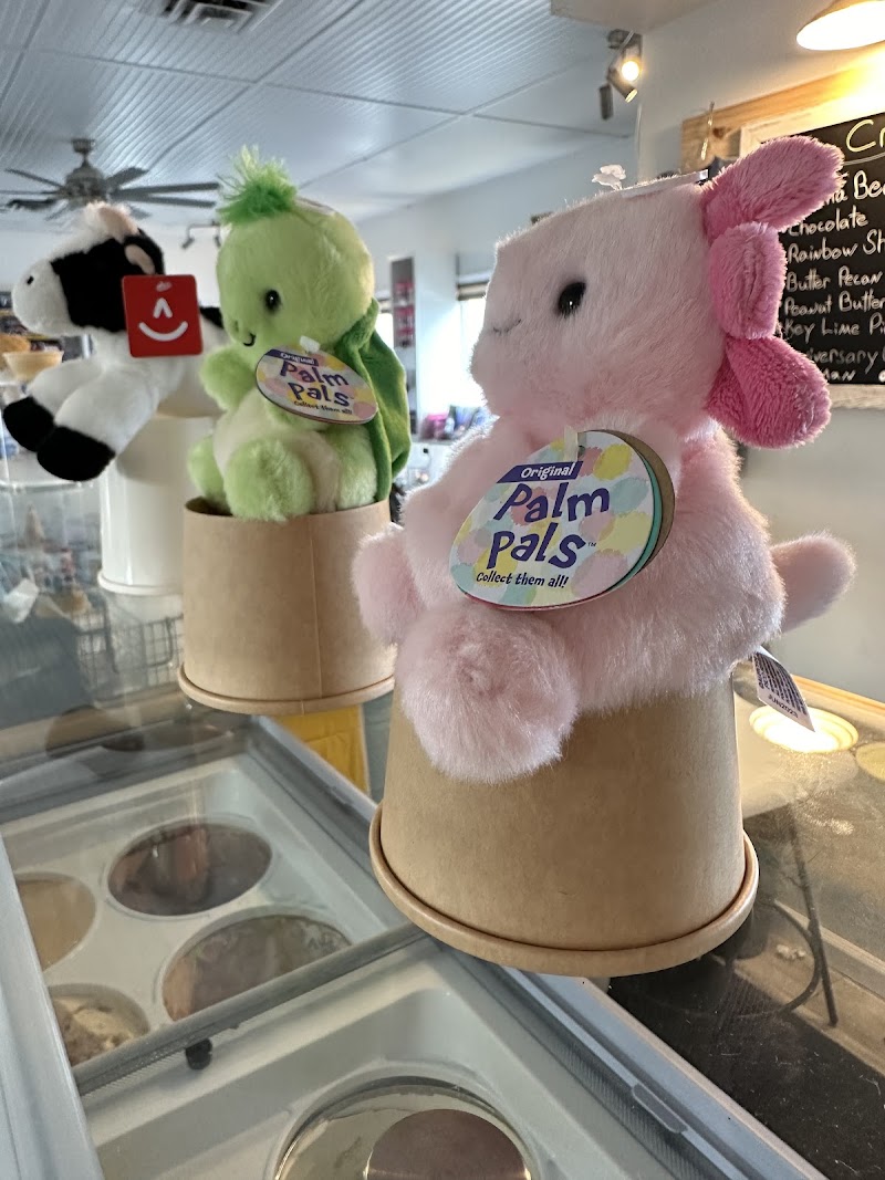 Duck Toy & Ice Cream photo