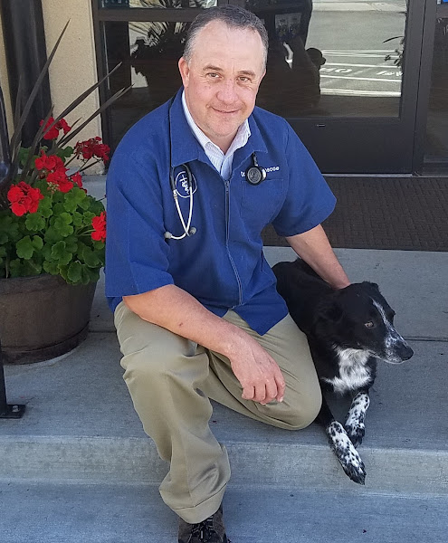 Midtown Animal Medical Center - Veterinarian in Coeur d'Alene