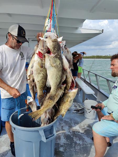 Queen Fleet Deep Sea Fishing - Fishing charter in Clearwater