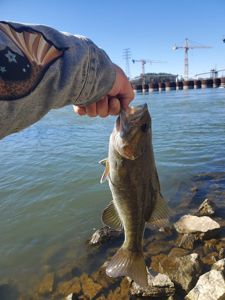 Chickamauga Dam Fishing Pier - Fishing pier in Chattanooga