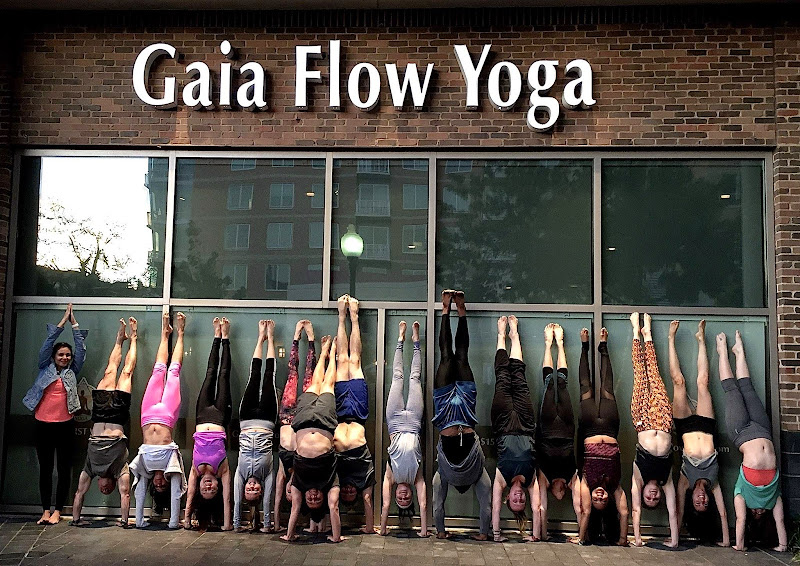 Gaia Flow Yoga UpTown Dallas
