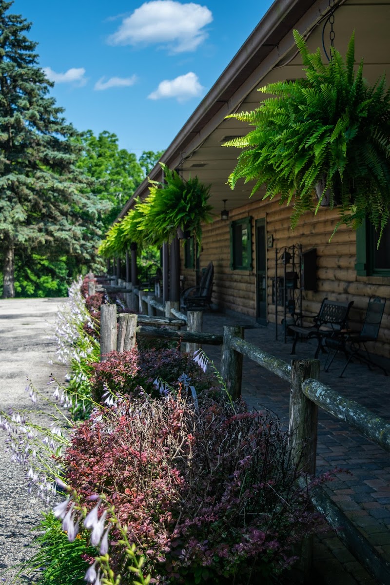 Lazy Cloud Lodge - services in your area