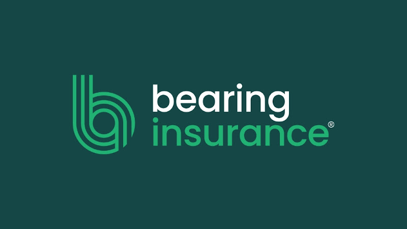 Bearing Insurance