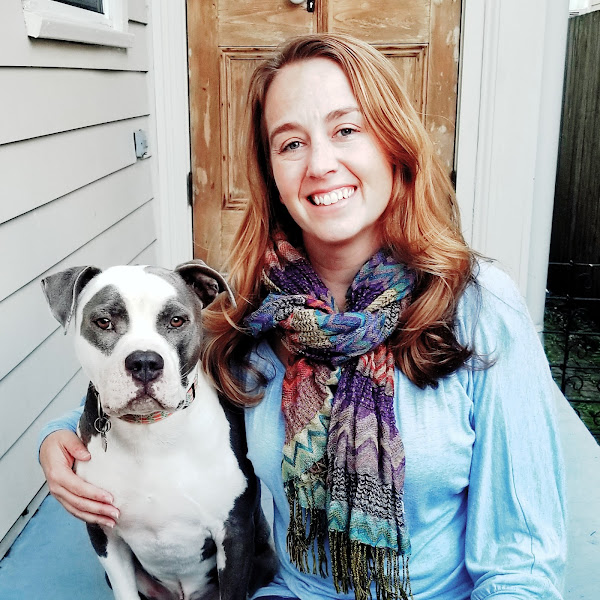 5 Points Animal Hospital