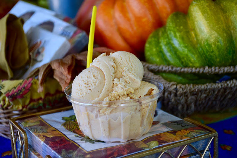 Tyler's Gourmet Ice Cream - Ice cream shop in Longboat Key