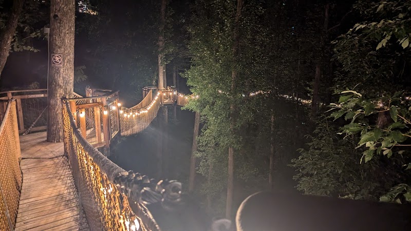 Treetop Skywalk at Anakeesta photo