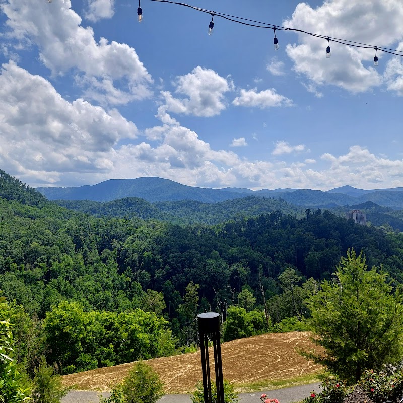 Treetop Skywalk at Anakeesta photo