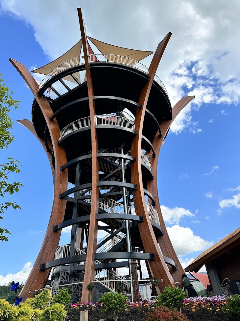 Treetop Skywalk at Anakeesta photo