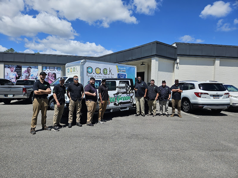 Bee Green Pest Solutions