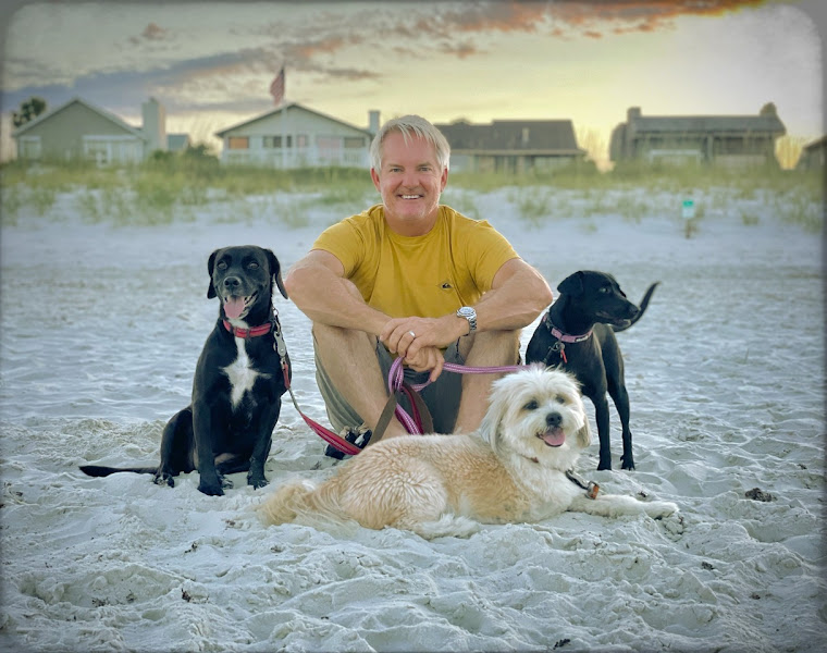 First Coast Veterinary Specialists & Emergency