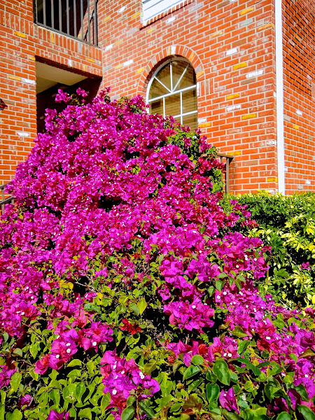 Millennium Family Practice