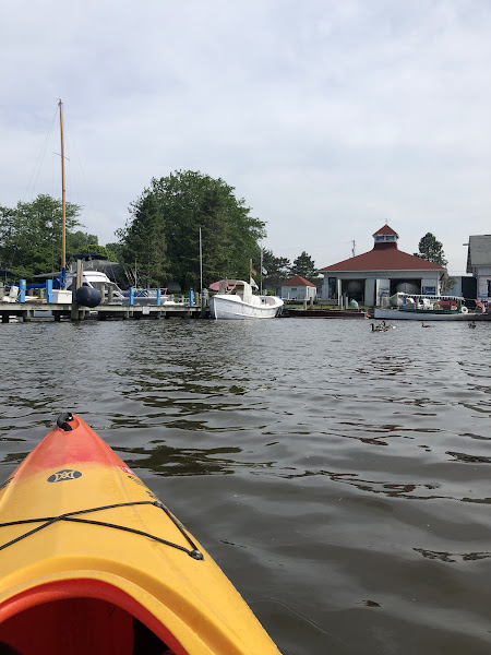 SoHa Surf Shop LLC - Canoe & kayak rental service in South Haven