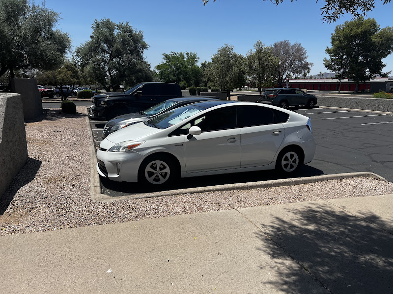 Palomino Insurance Agency