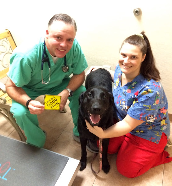 Animal Medical Clinic