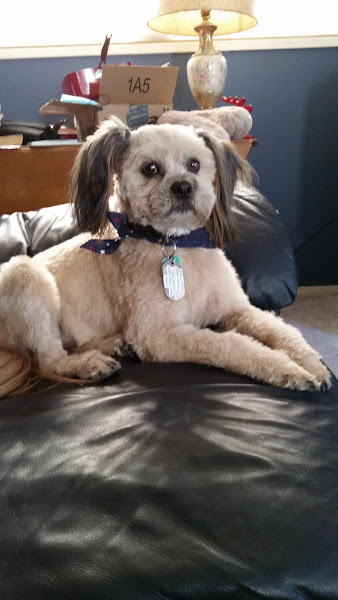 Ada Animal Hospital
