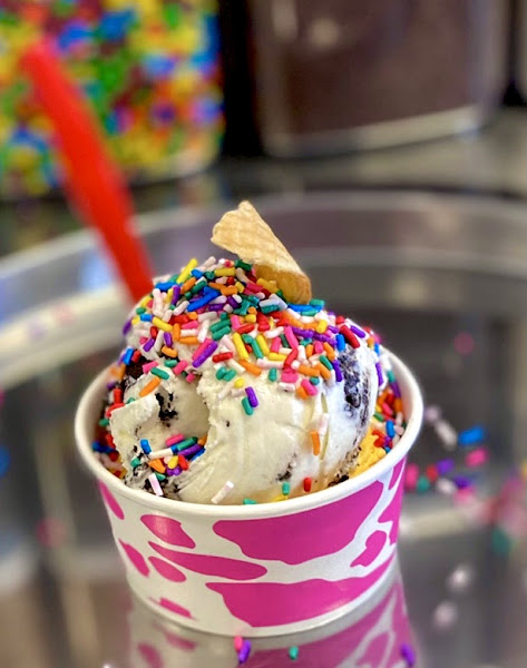 P U R O - Ice Cream Factory