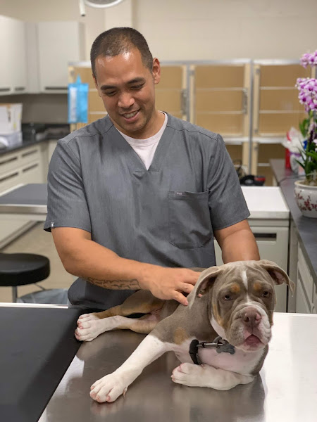 Ali'i Animal Hospital - Veterinarian in Honolulu