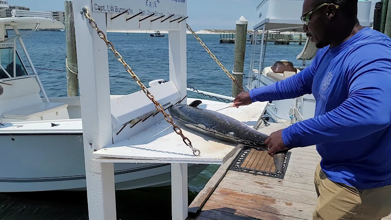 IntraCoastal Experience - Fishing charter in Destin
