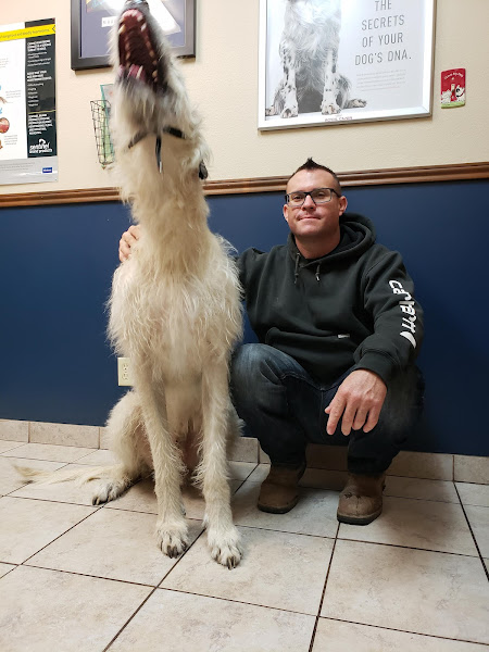 Fischer Veterinary Clinic - Animal hospital in New Braunfels