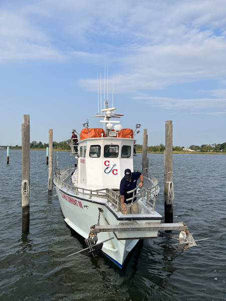 Island Current Fleet
