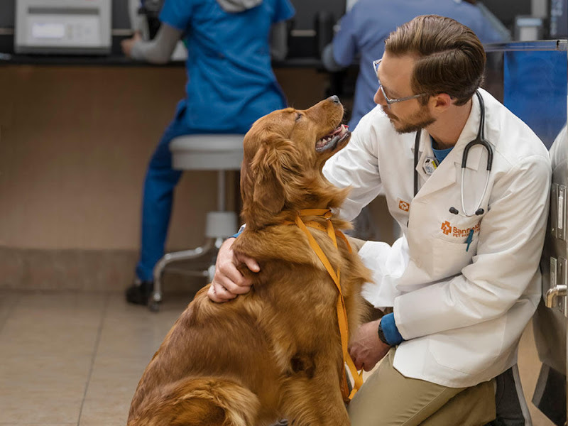 Banfield Pet Hospital - Veterinarian in Bozeman