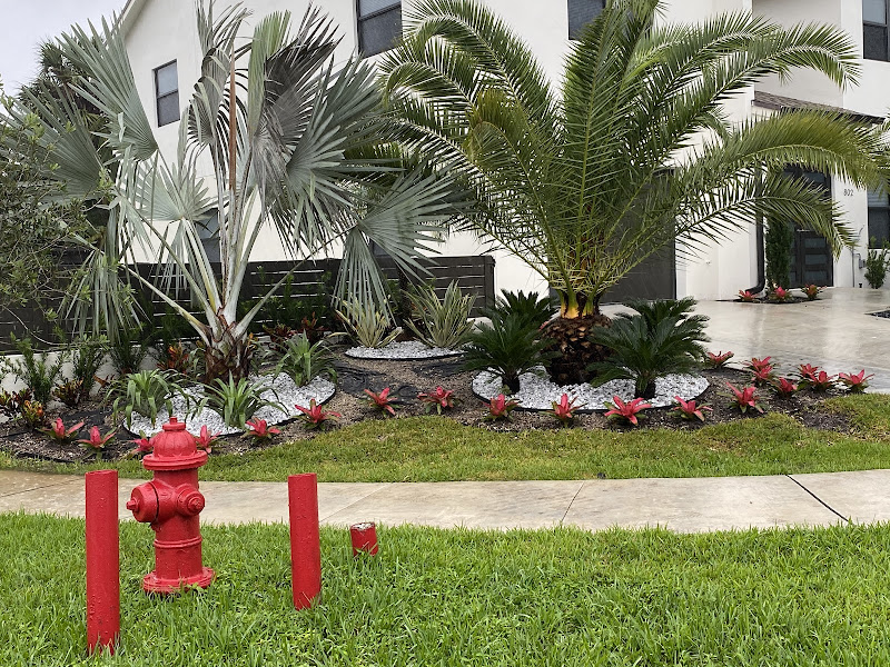 EBM Property Maintenance LLC - Tree service in Fort Lauderdale