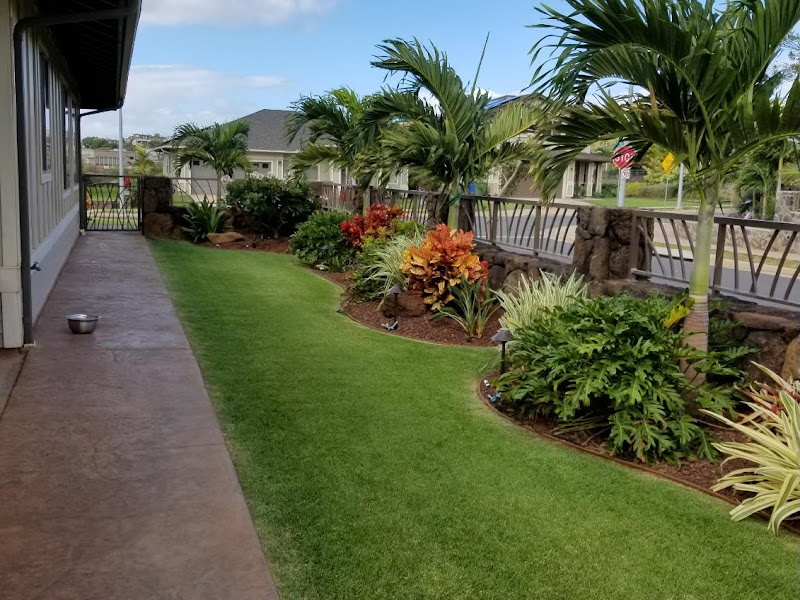 Island Green Landscaping and Maintenance LLC - Landscaper in your area