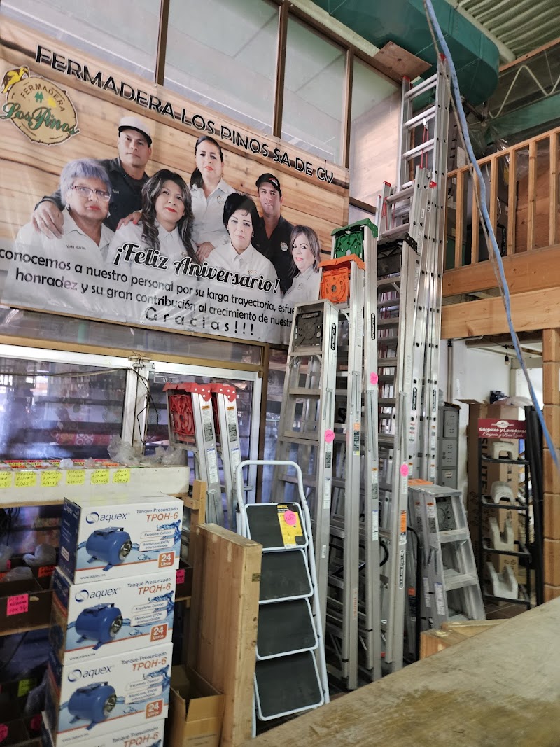 Fermadera Los Pinos - Hardware store in José López Portillo
