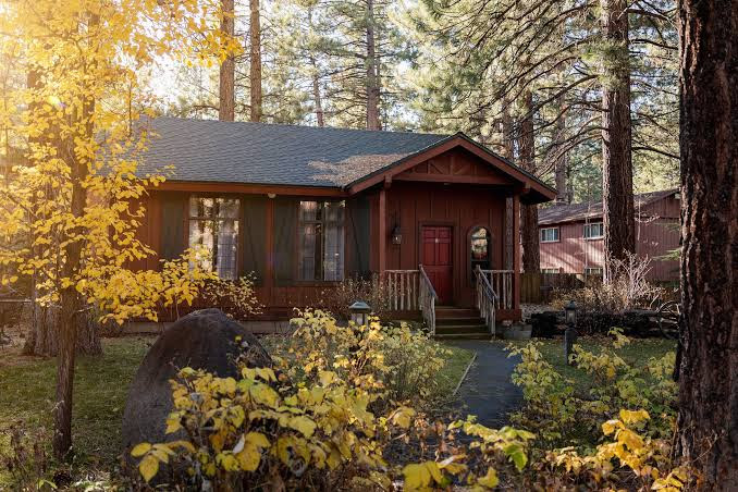 Black Bear Lodge