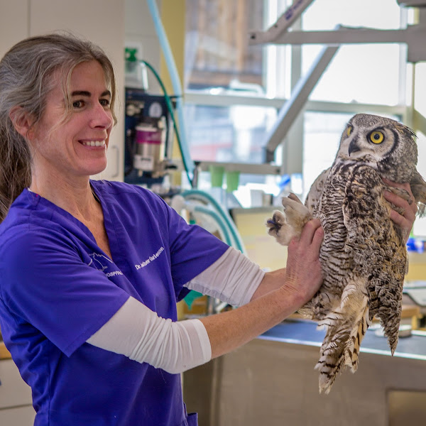 Jackson Animal Hospital