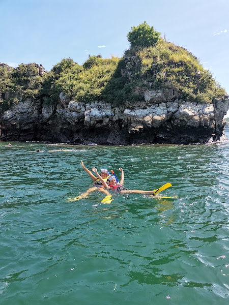 TIKO TOURS- SANTA TERESA-ISLA TORTUGA - Boat tour agency in your area