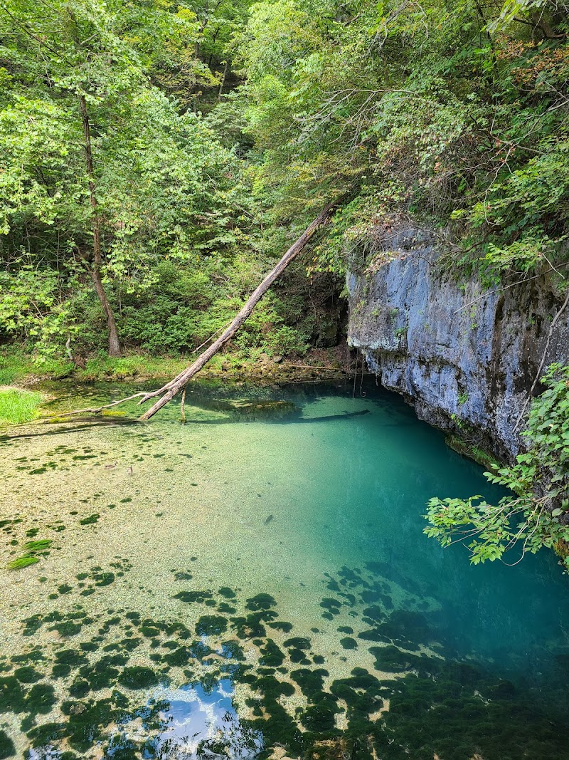 Ha Ha Tonka State Park