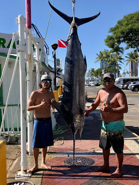 Aloha Charters