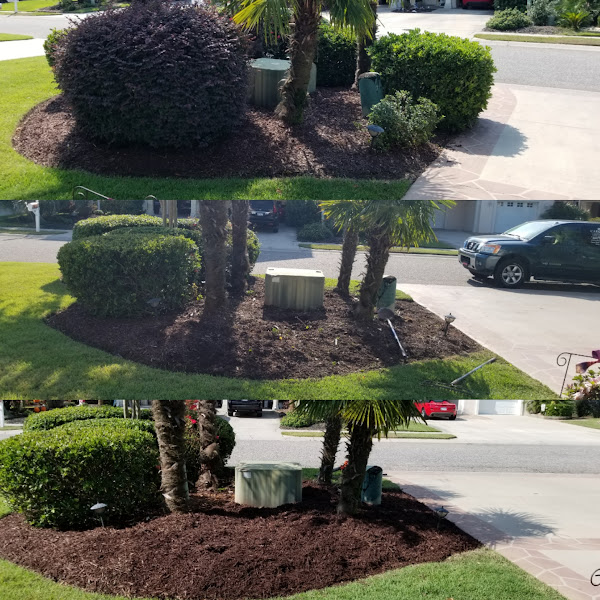 Carolina Landscaping and Clean Up