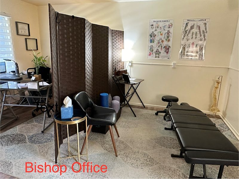 In Line Chiropractic - Shanna Bissonette, DC - Chiropractor in Mammoth Lakes