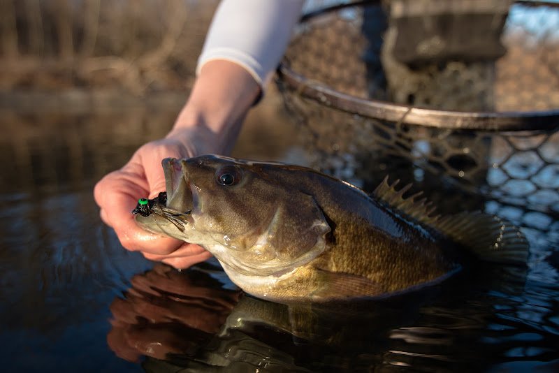 Music City Anglers - Fishing charter in Nashville