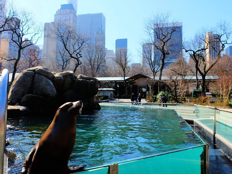 Central Park Zoo photo