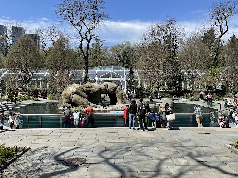 Central Park Zoo photo