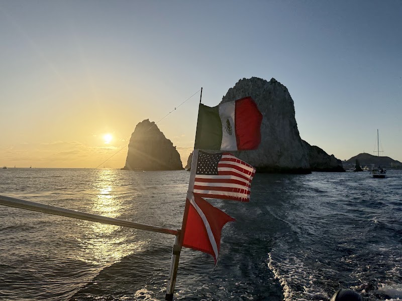 D'cabo adventures - Tourist attraction in Marina