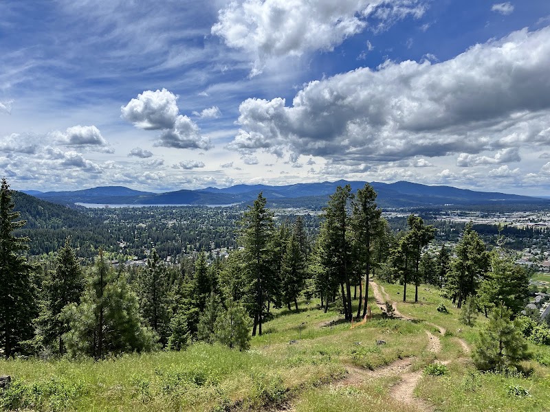 Canfield Mountain Natural Trail (West) - Hiking area in Coeur d'Alene