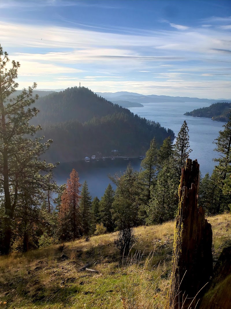 Canfield Mountain Natural Trail (West) photo
