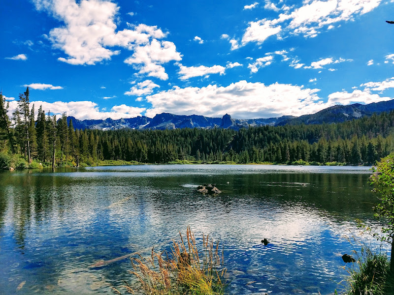 Mammoth Creek Park - Tourist attraction in Mammoth Lakes