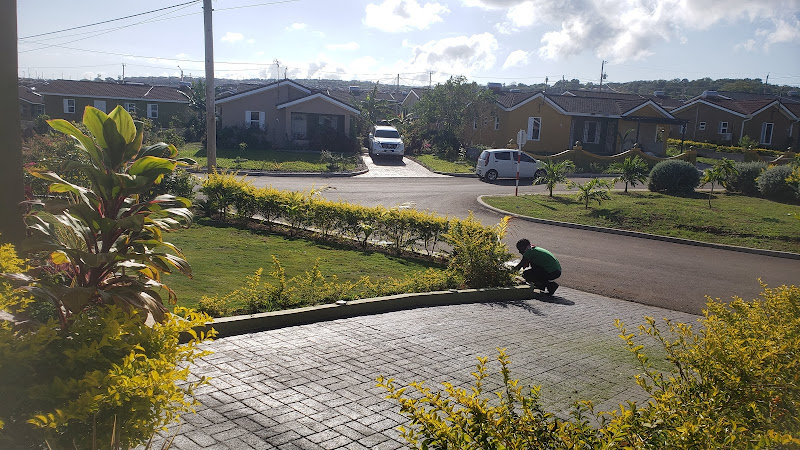Maxam's Landscaping and Home Care Solutions - Landscaper in Montego Bay